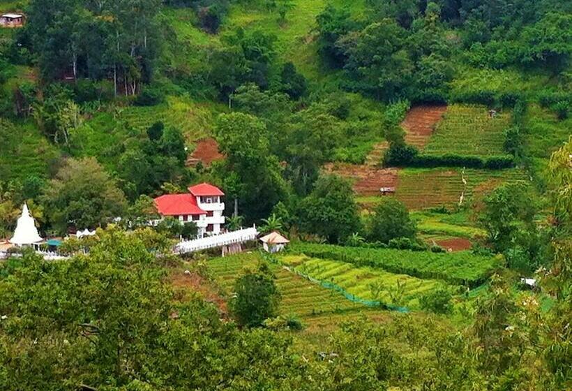 デラックスルーム, Himagira