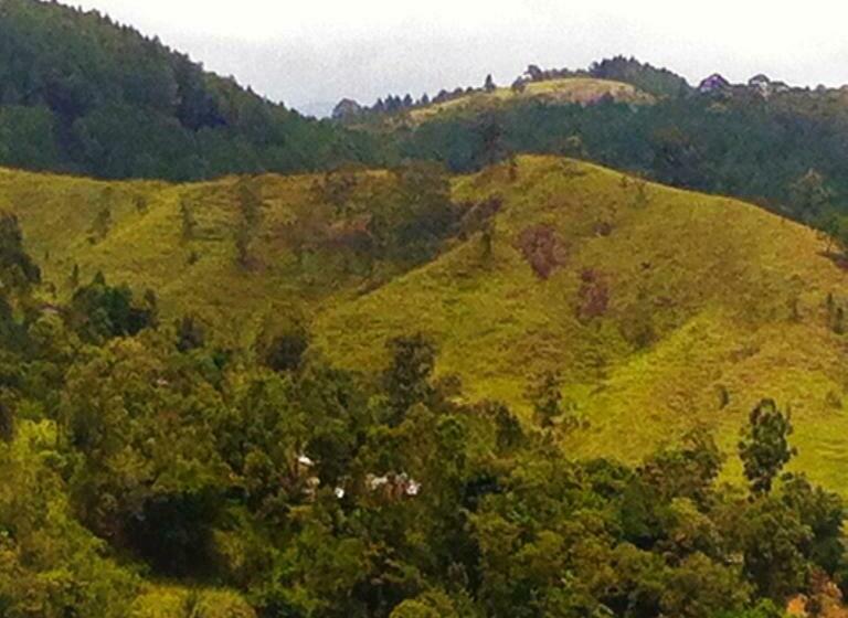 デラックスルーム, Himagira