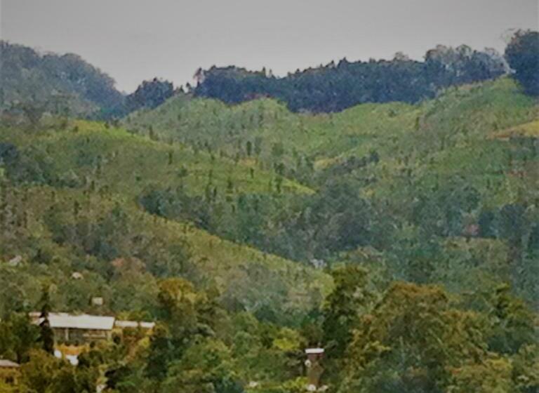 デラックスルーム, Himagira