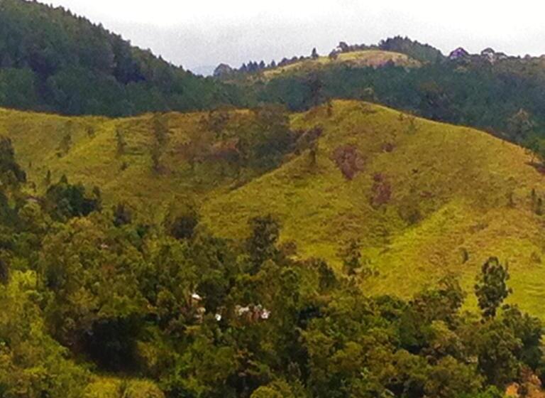 マウンテンビュースタンダードルーム, Himagira