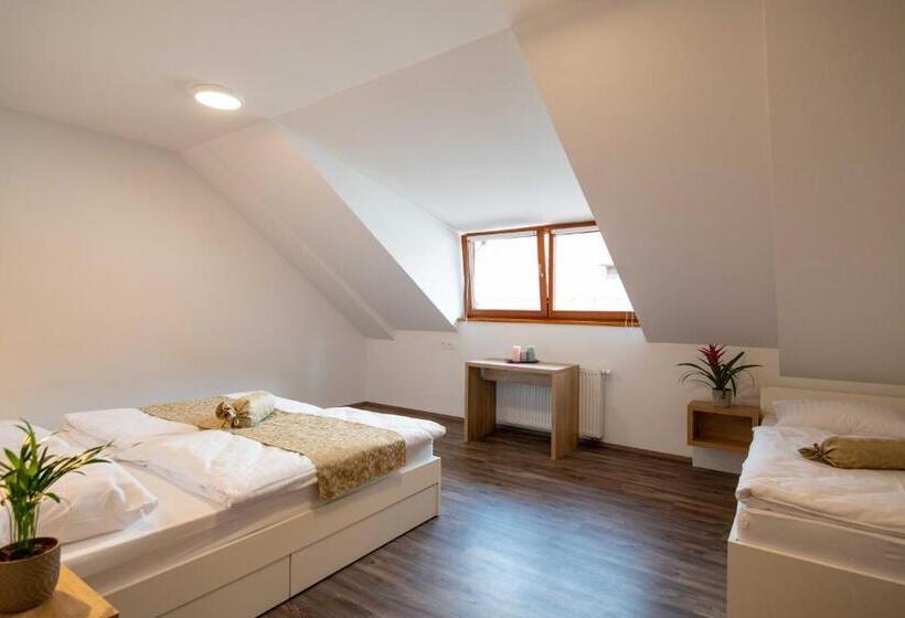 اتاق استاندارد سه نفره, Guesthouse Stari Mayr