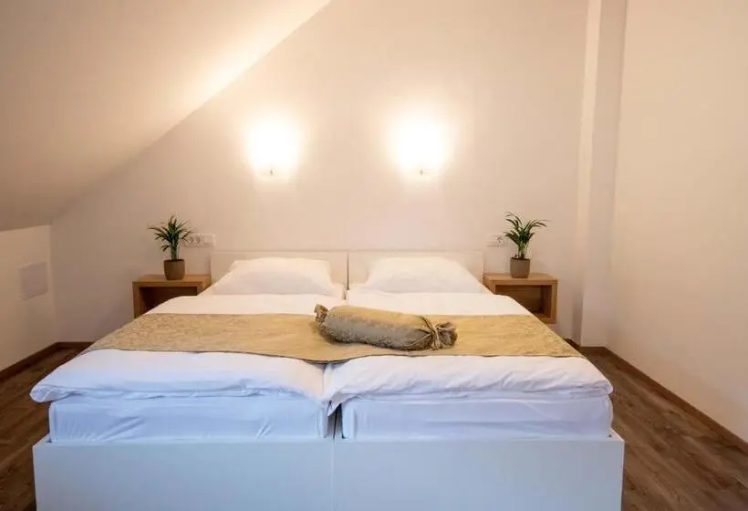 اتاق استاندارد با چشم‌انداز کوهستان, Guesthouse Stari Mayr
