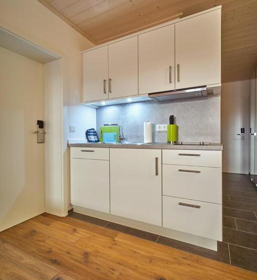 Полулюкс Одноместный с Террасой, Alb Appartements