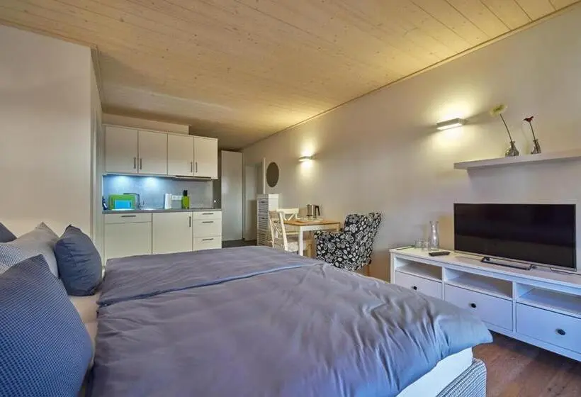 テラス付きジュニアスイート, Alb Appartements