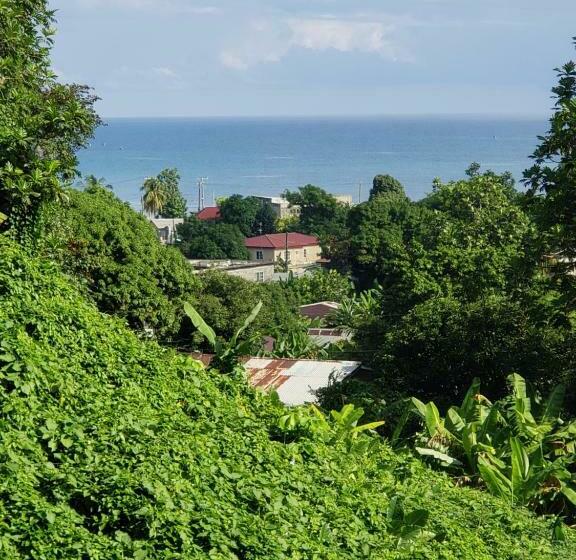 اتاق استاندارد با چشمانداز دریا, Viva Violas