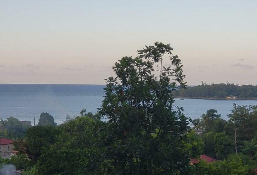 اتاق استاندارد با چشمانداز دریا, Viva Violas