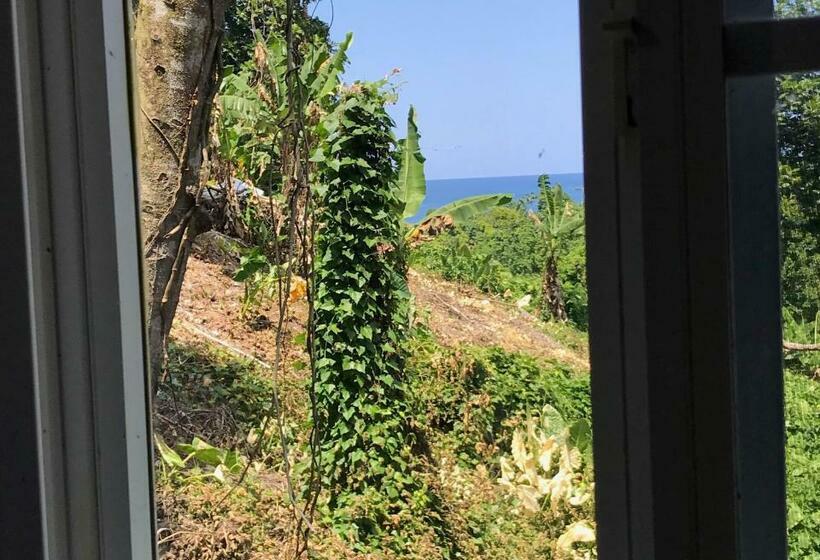 اتاق استاندارد با چشمانداز دریا, Viva Violas