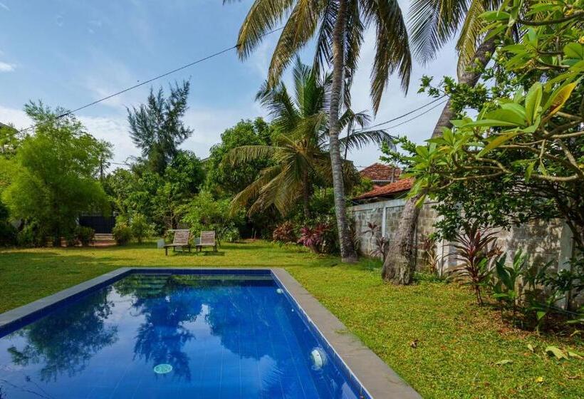 Camera Standard Vista Giardino, Ocean Gate Negombo