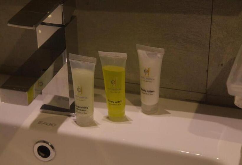 Номер Deluxe, City Hotel Colombo 02