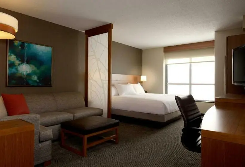 اتاق استاندارد با تخت بزرگ, Hyatt Place San Jose Airport