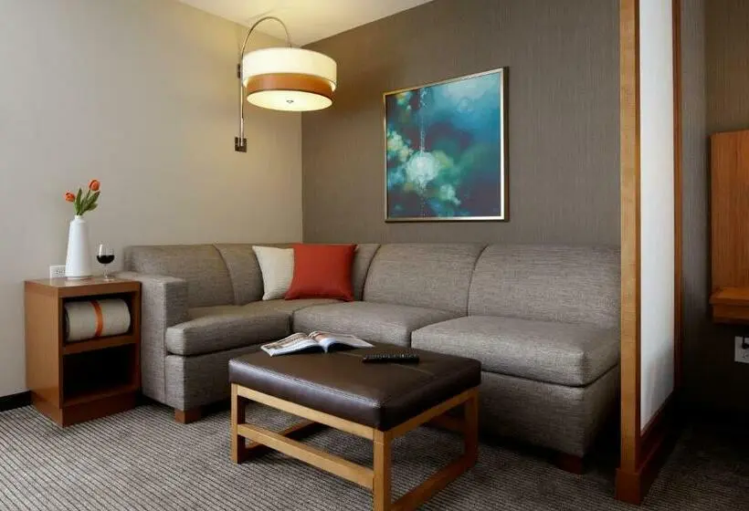 اتاق استاندارد با تخت بزرگ, Hyatt Place San Jose Airport
