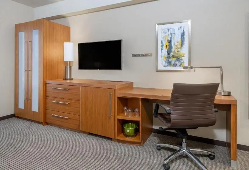 اتاق استاندارد با تخت بزرگ, Hyatt Place San Jose Airport