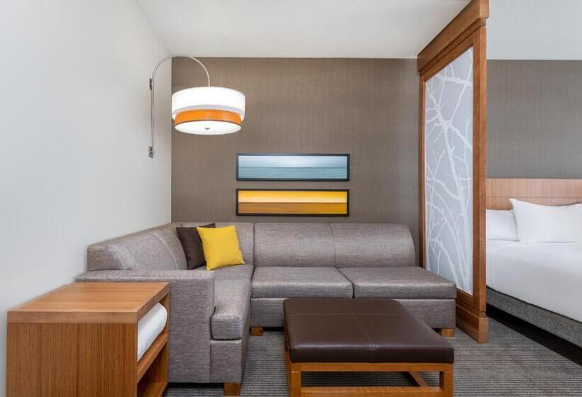 غرفه قياسيه سريرين مزدوجين, Hyatt Place San Jose Airport