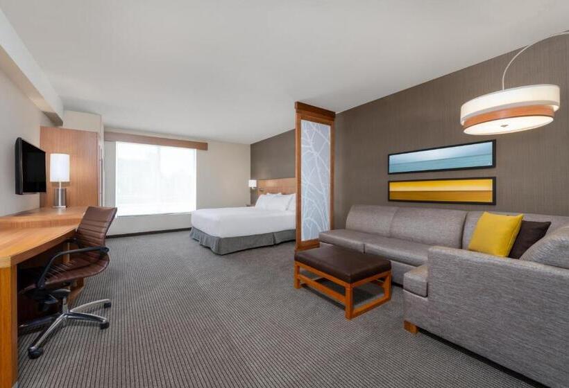 غرفة قياسية سرير كينج لذوى الإحتياجات الخاصة, Hyatt Place San Jose Airport