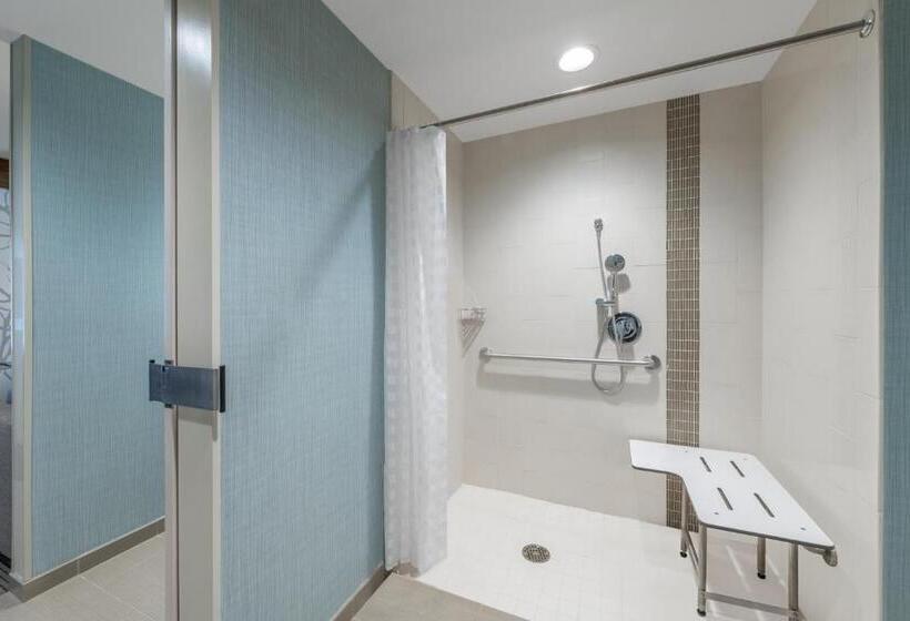 غرفة قياسية لذوى الاحتياجات الخاصة, Hyatt Place San Jose Airport