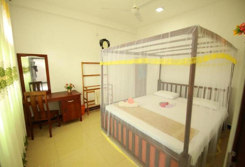 חדר אקונומי, New Ocean Vibes