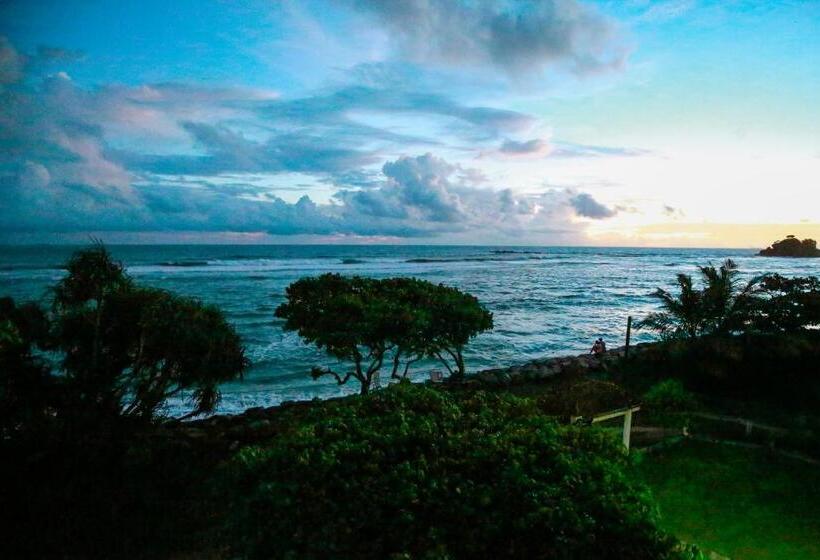 חדר סטנדרט עם מיטת קינג, New Ocean Vibes