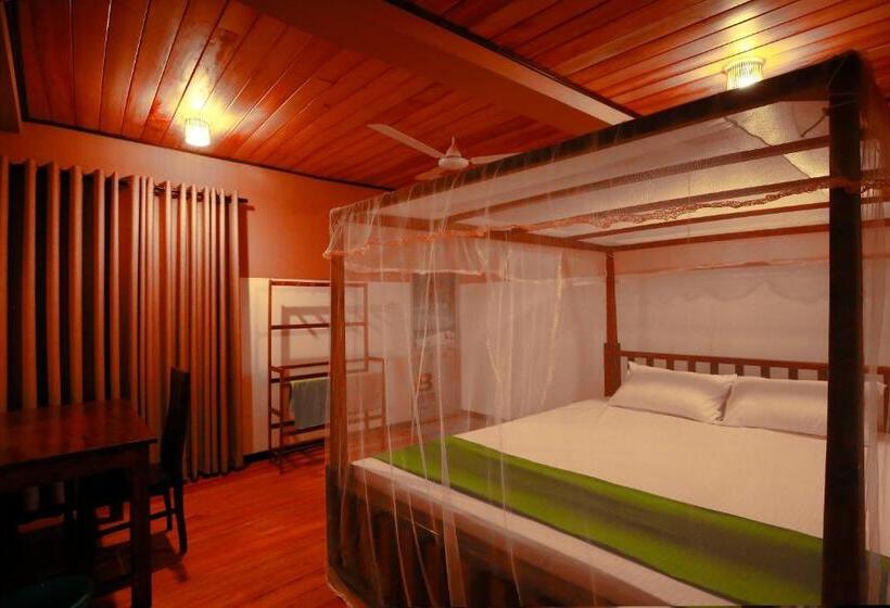 חדר סטנדרט, New Ocean Vibes