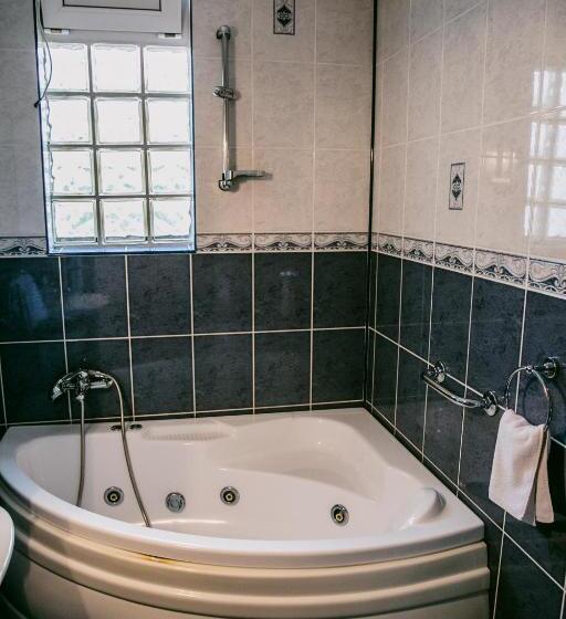 침실 1개 아파트, Pensiunea Vila Europa