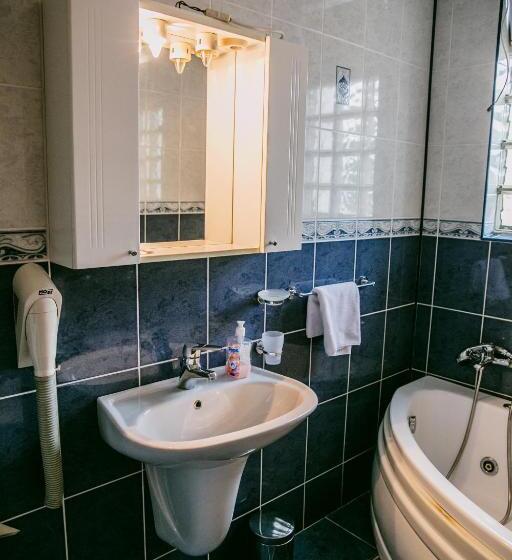 침실 1개 아파트, Pensiunea Vila Europa