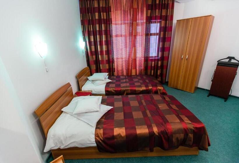 침실 1개 아파트, Pensiunea Vila Europa