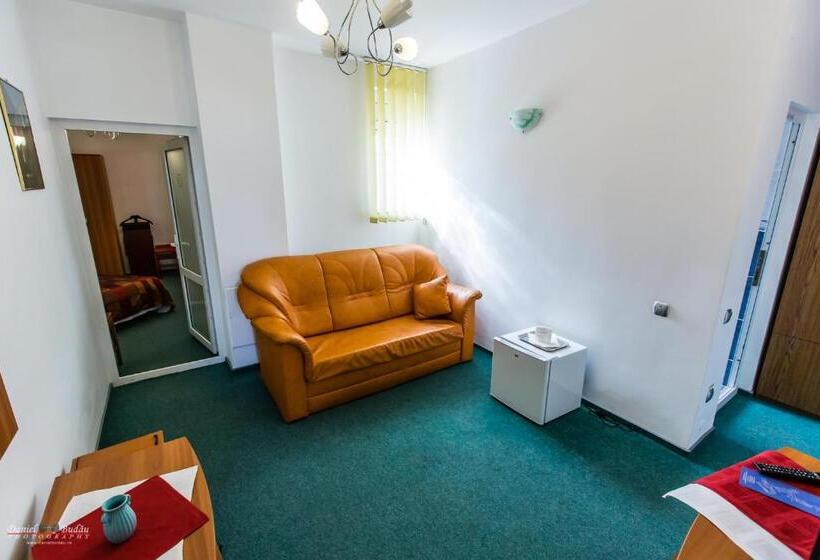 침실 1개 아파트, Pensiunea Vila Europa