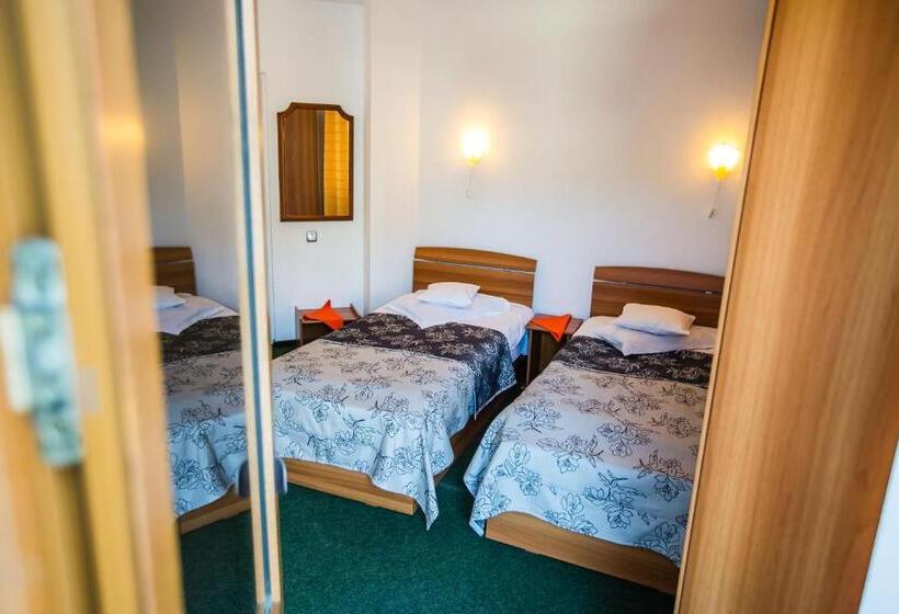 Apartamento 2 Dormitórios, Pensiunea Vila Europa