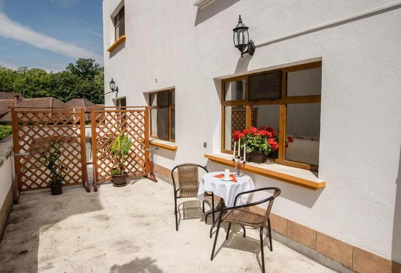 침실 1개 발코니 아파트, Pensiunea Vila Europa