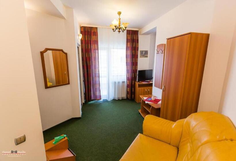 침실 1개 발코니 아파트, Pensiunea Vila Europa