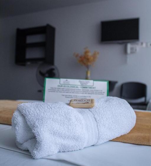 اتاق استاندارد یک نفره, Escorial Ibague