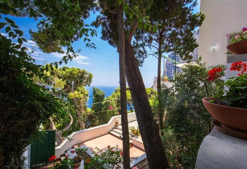 חדר דלוקס יחיד, Villa Olga Luxury Capri