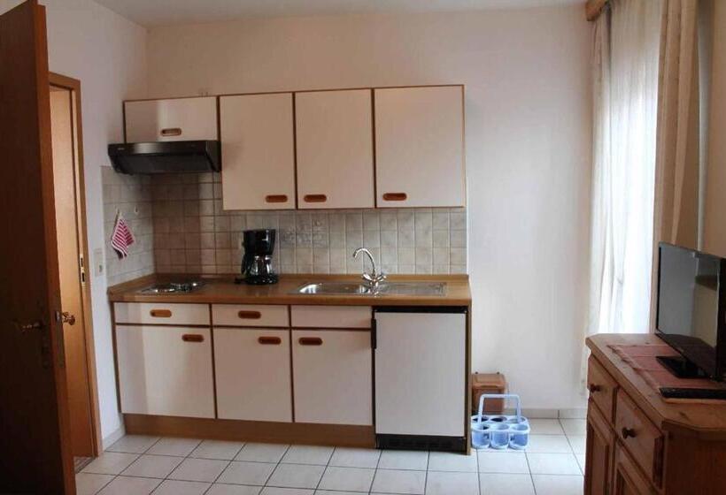 Апартаменты 1 Спальня, Appartementhaus Haflinger Hof
