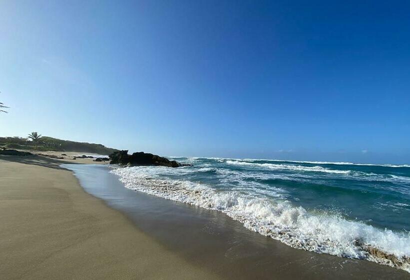 בית, 2 חדרי שינה, Cabarete Beachfront Condos At Nanny Estate C 5