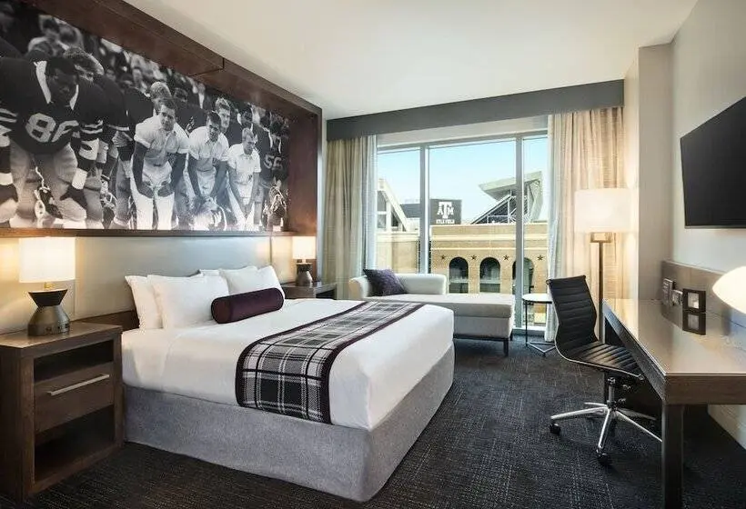 اتاق لوکس با تخت بزرگ, Texas A&m Hotel And Conference Center