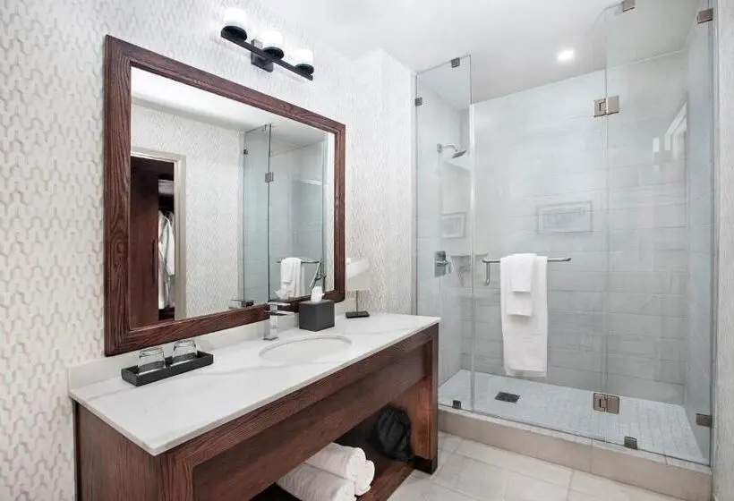 اتاق استاندارد با تخت بزرگ, Texas A&m Hotel And Conference Center