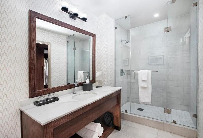 キングサイズベッドのエクゼクティブルーム, Texas A&m Hotel And Conference Center