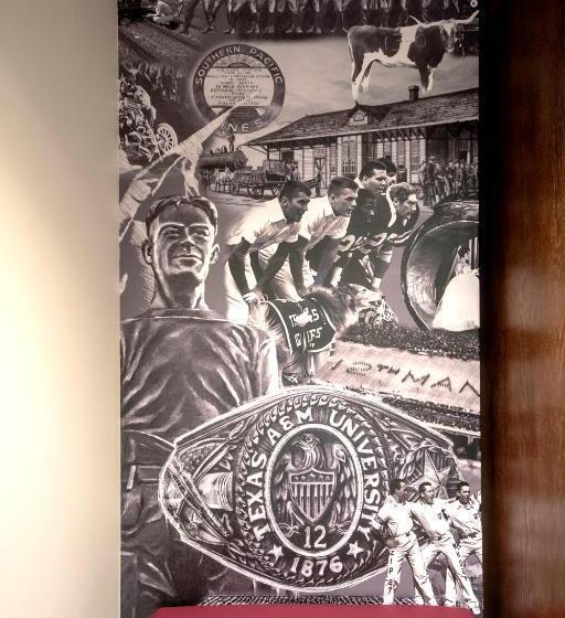 身障者適用キングサイズベッドルーム, Texas A&m Hotel And Conference Center