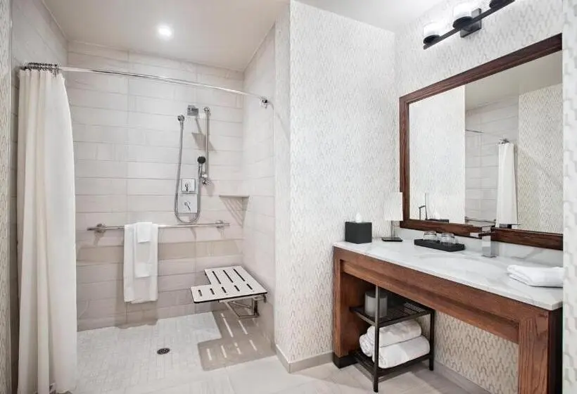 اتاق استاندارد با تخت بزرگ برای معلولان, Texas A&m Hotel And Conference Center