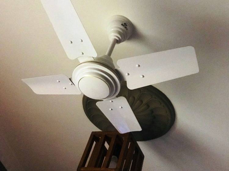 اتاق خانوادگی, Savannah House