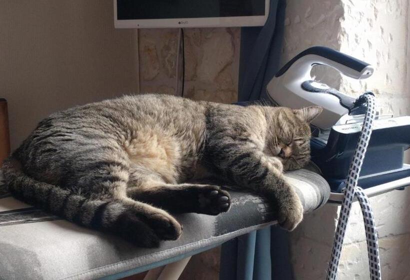 标准间, Saint James House