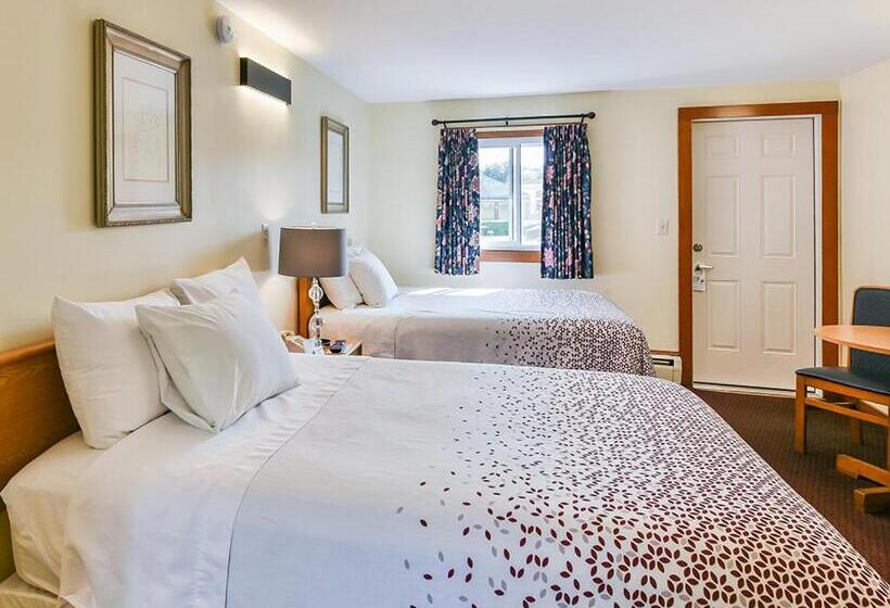 غرفة قياسية, The Saco Motel