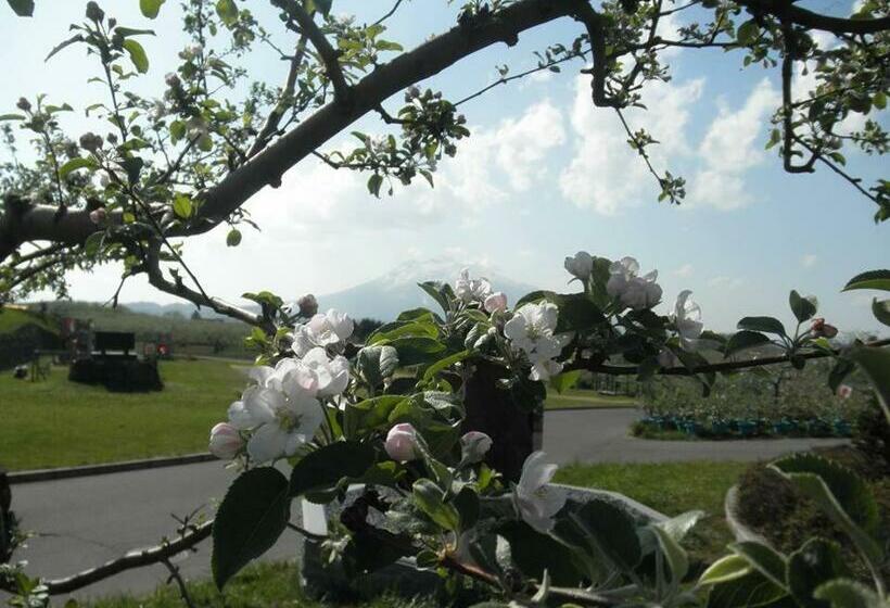 חדר סטנדרטי לארבעה עם חדר אמבטיה משותף, Guest House Chara