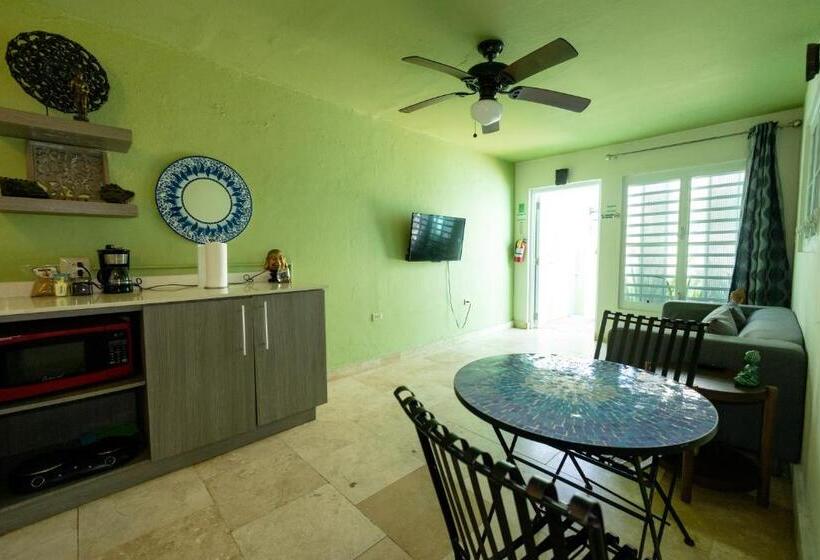 آپارتمان 1 خوابه, La Esmeralda Pr