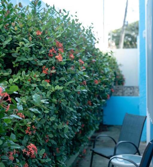 آپارتمان 1 خوابه با چشمانداز باغ, La Esmeralda Pr