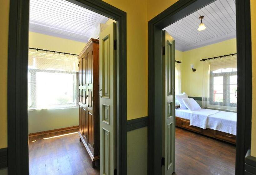 Студия Стандарт, Petrino Gökçeada Hotel&kitchen