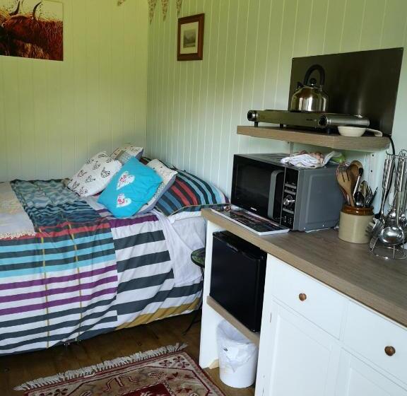 マウンテンビュースタンダードルーム, Shepherds Hut Dolly Wagon