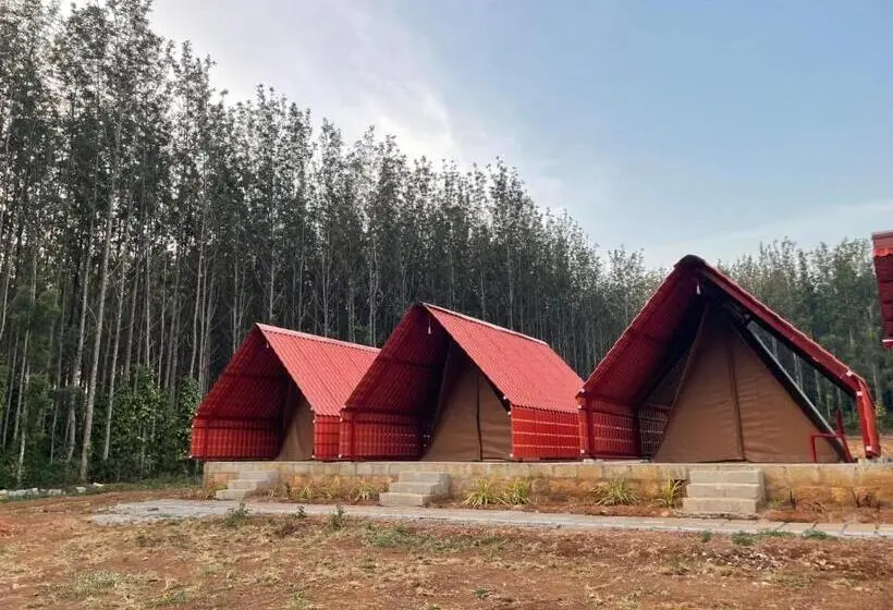 Standard Tent, Trippr Chikkamagaluru