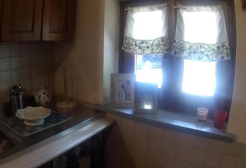 استودیو خانوادگی, Gavi/alice Open Space