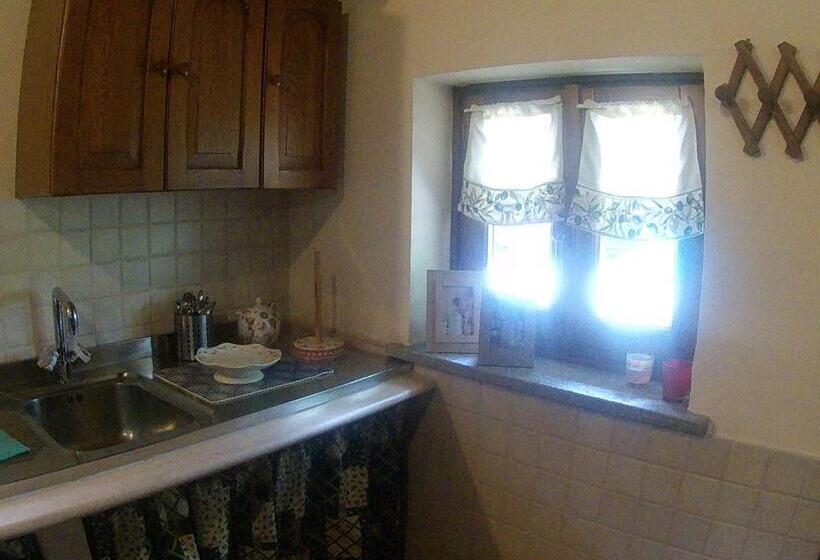 استودیو خانوادگی, Gavi/alice Open Space