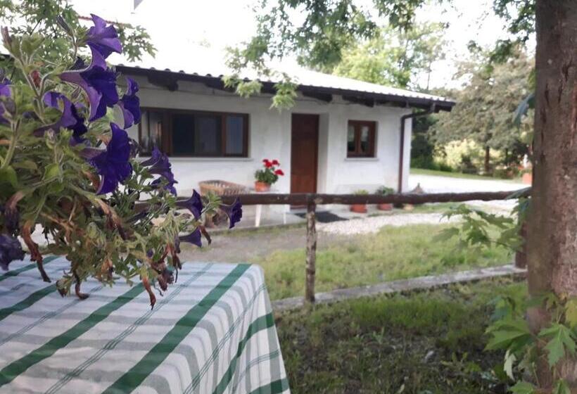 استودیو خانوادگی, Gavi/alice Open Space